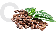 Coffee Products-Satrapkimya