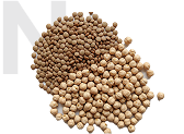 Nuts & Legumes-Satrapkimya