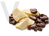 Vegetable Oils & Fats-Satrapkimya