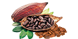 Cocoa beans-Satrapkimya