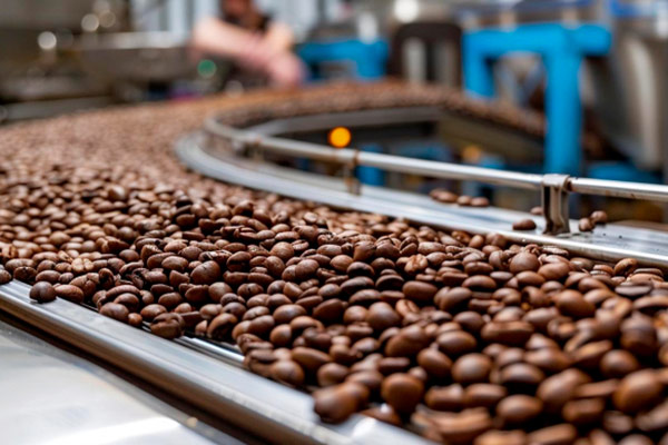 cocoa-company